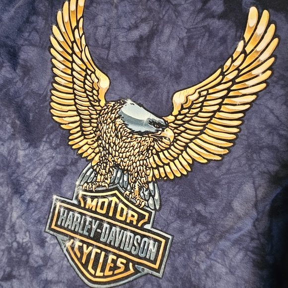 Harley-Davidson Women's Blue Long Sleeve Shirt Size L - Picture 7 of 7